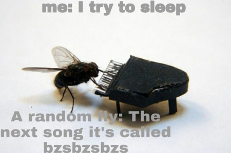 2bdb8fc8f4fed376.jpeg