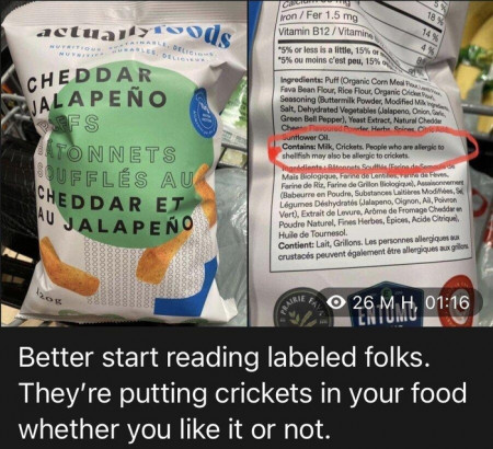 3ab5ffc496f67f88.jpeg