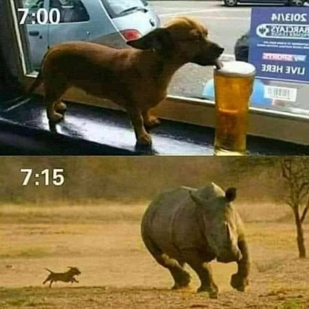 a0577c4562cf949e.jpeg